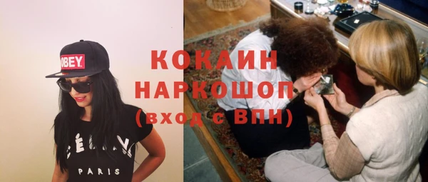 индика Алексин