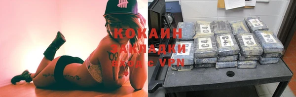 индика Алексин