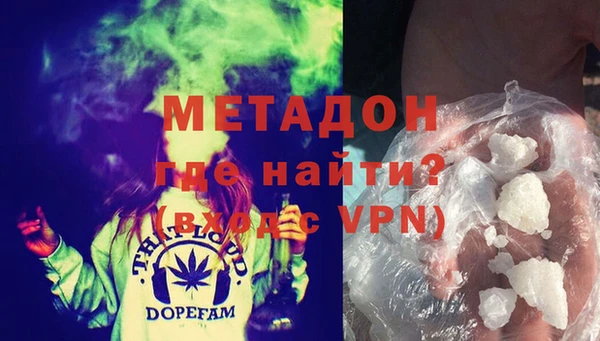 индика Алексин