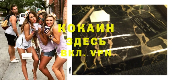 индика Алексин