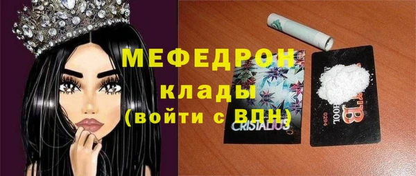 индика Алексин