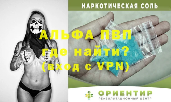 индика Алексин