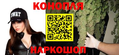 дмт Дубна
